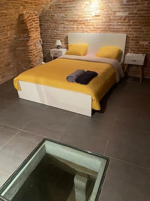 Le Nightflyer T2 Atypique De Brique Et En Cave Apartment Toulouse France