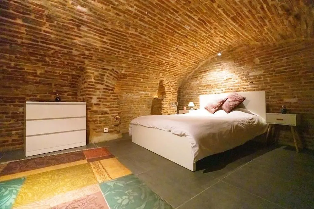 Le Nightflyer T2 Atypique De Brique Et En Cave Apartment Toulouse