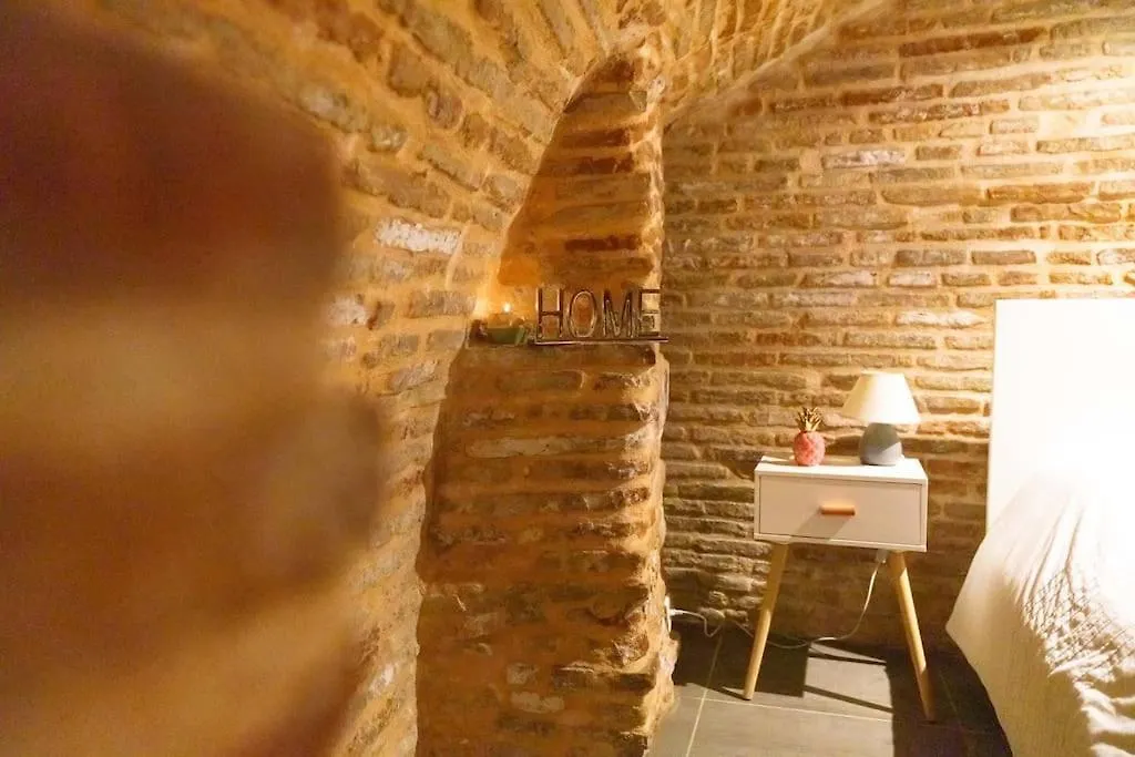 Le Nightflyer T2 Atypique De Brique Et En Cave Apartment Toulouse
