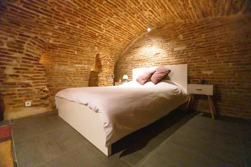 Le Nightflyer T2 Atypique De Brique Et En Cave Apartment Toulouse