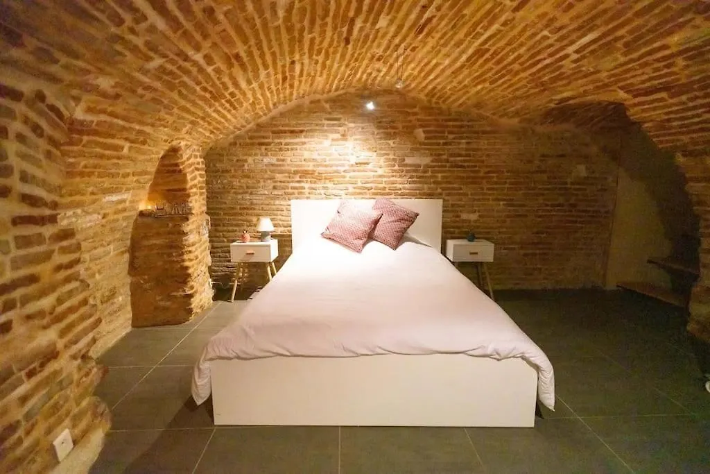 Le Nightflyer T2 Atypique De Brique Et En Cave Apartment Toulouse