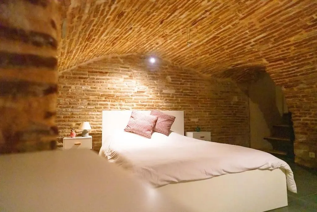 Le Nightflyer T2 Atypique De Brique Et En Cave Apartment Toulouse