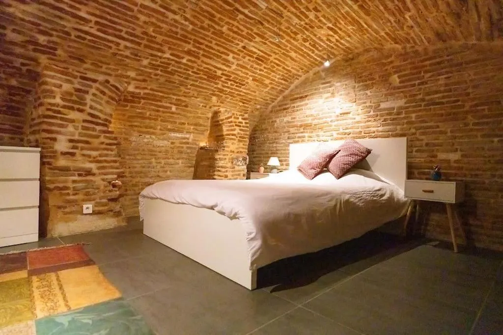 Le Nightflyer T2 Atypique De Brique Et En Cave Apartment Toulouse 0*,