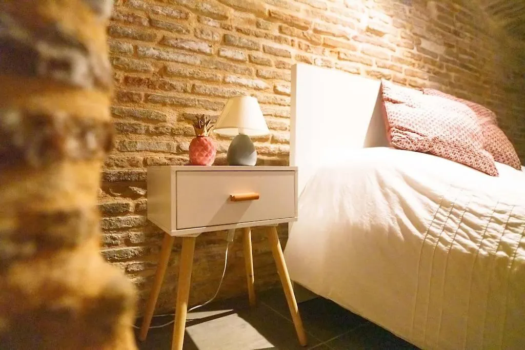 Le Nightflyer T2 Atypique De Brique Et En Cave Apartment Toulouse