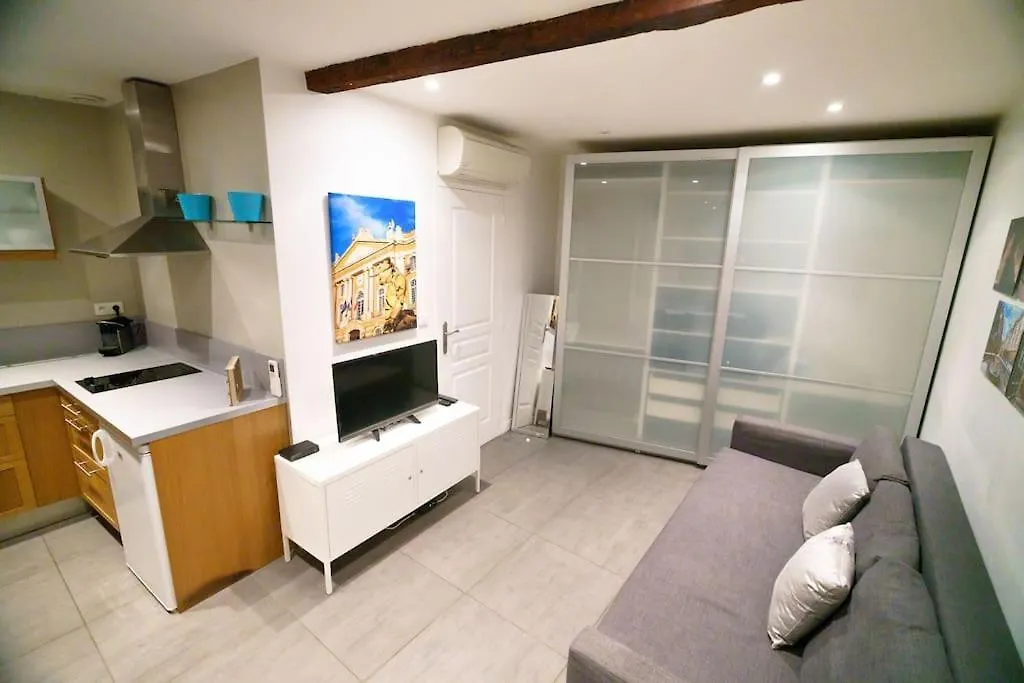 Le Nightflyer T2 Atypique De Brique Et En Cave Apartment Toulouse