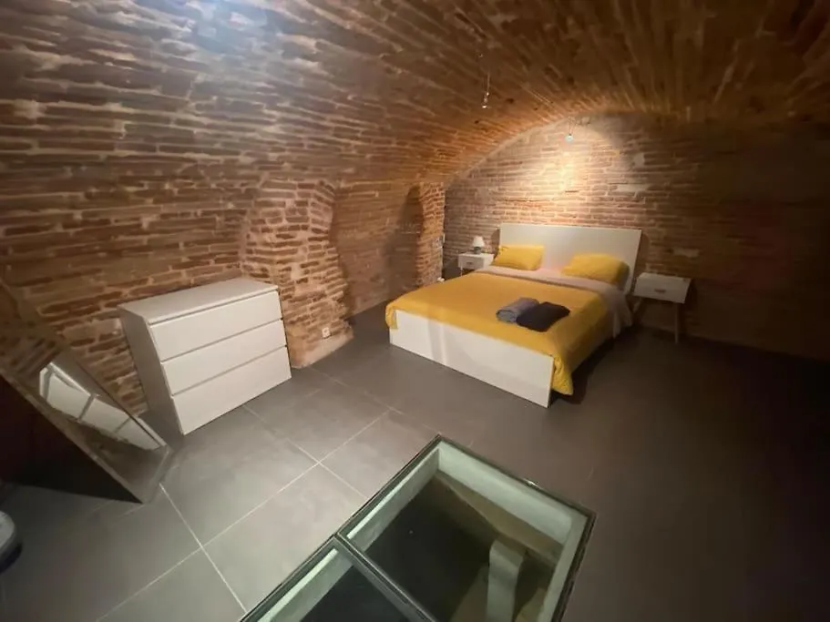 Le Nightflyer T2 Atypique De Brique Et En Cave Apartment Toulouse
