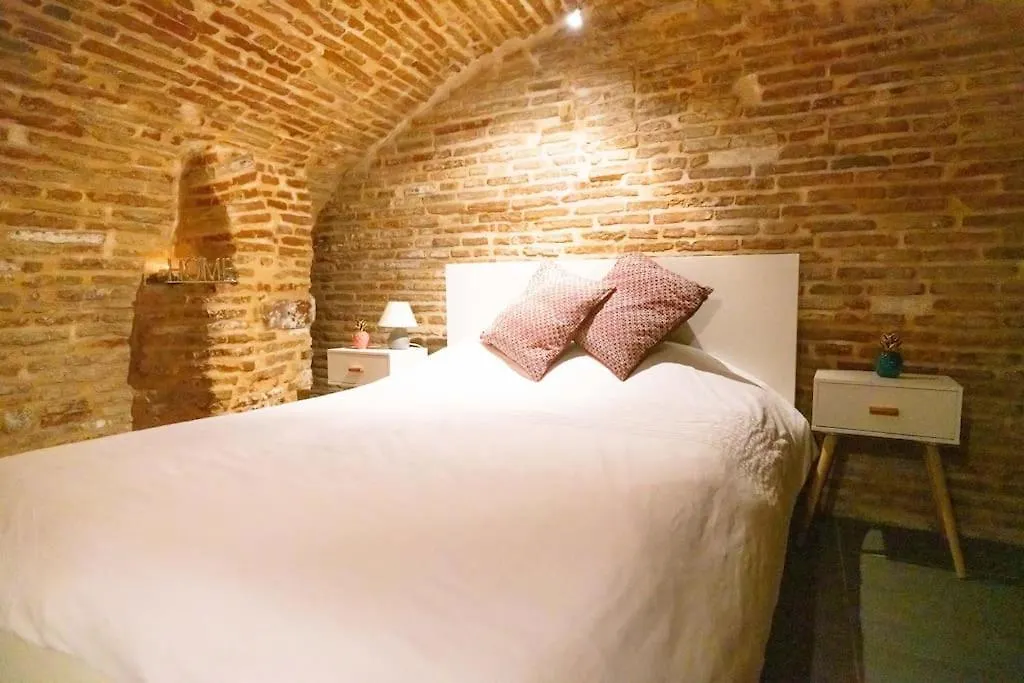 Le Nightflyer T2 Atypique De Brique Et En Cave Apartment Toulouse