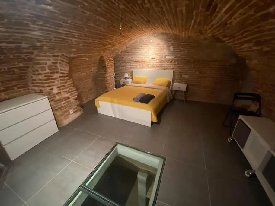 Le Nightflyer T2 Atypique De Brique Et En Cave Apartment Toulouse