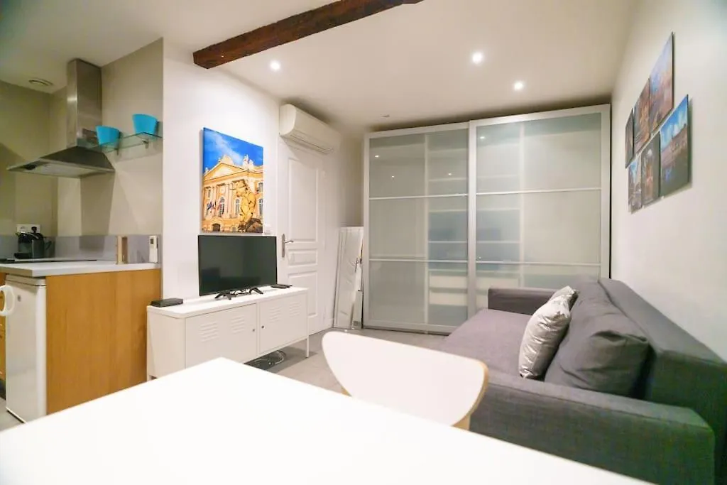 Le Nightflyer T2 Atypique De Brique Et En Cave Apartment Toulouse