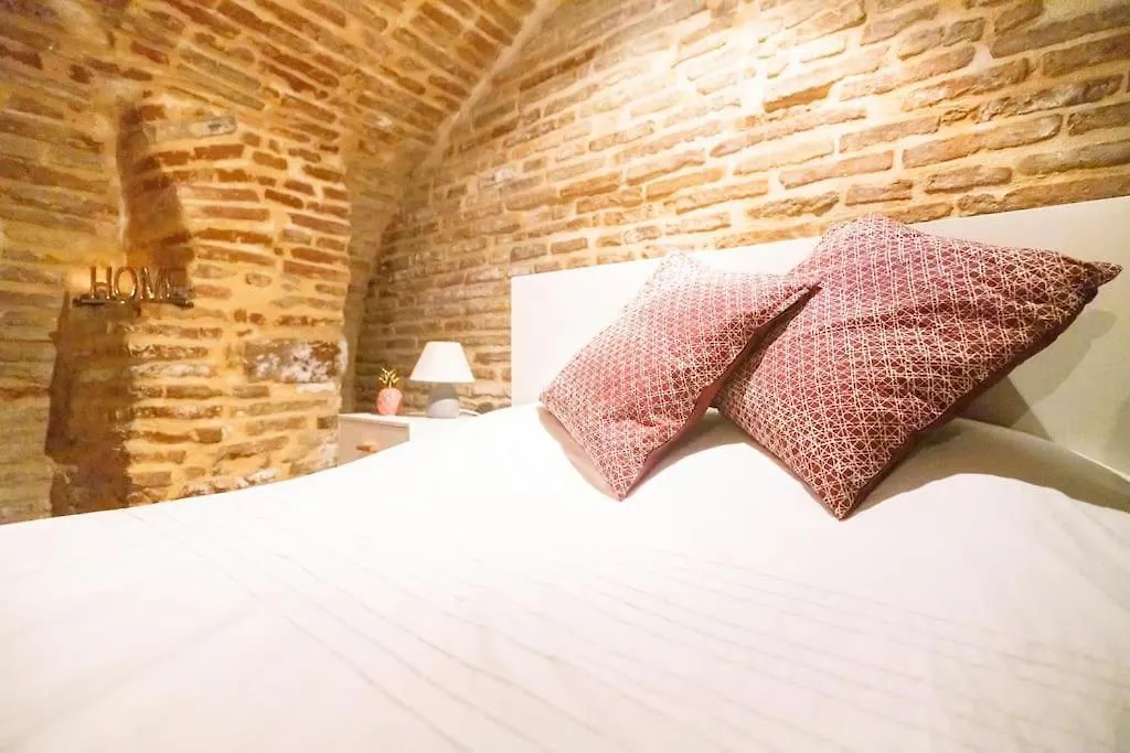 Le Nightflyer T2 Atypique De Brique Et En Cave Apartment Toulouse France