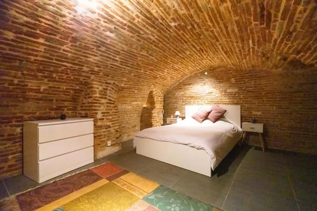 Le Nightflyer T2 Atypique De Brique Et En Cave Apartment Toulouse