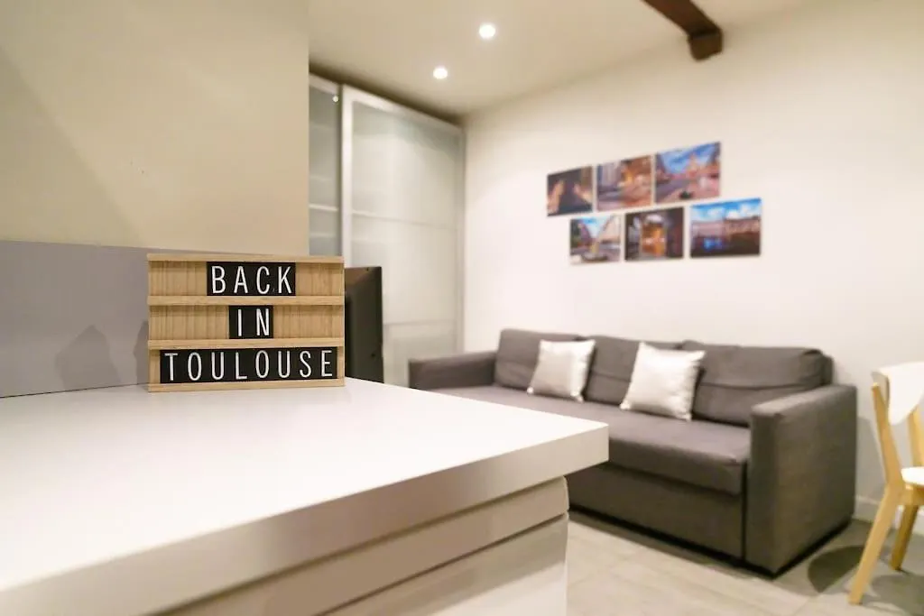 Le Nightflyer T2 Atypique De Brique Et En Cave Apartment Toulouse France