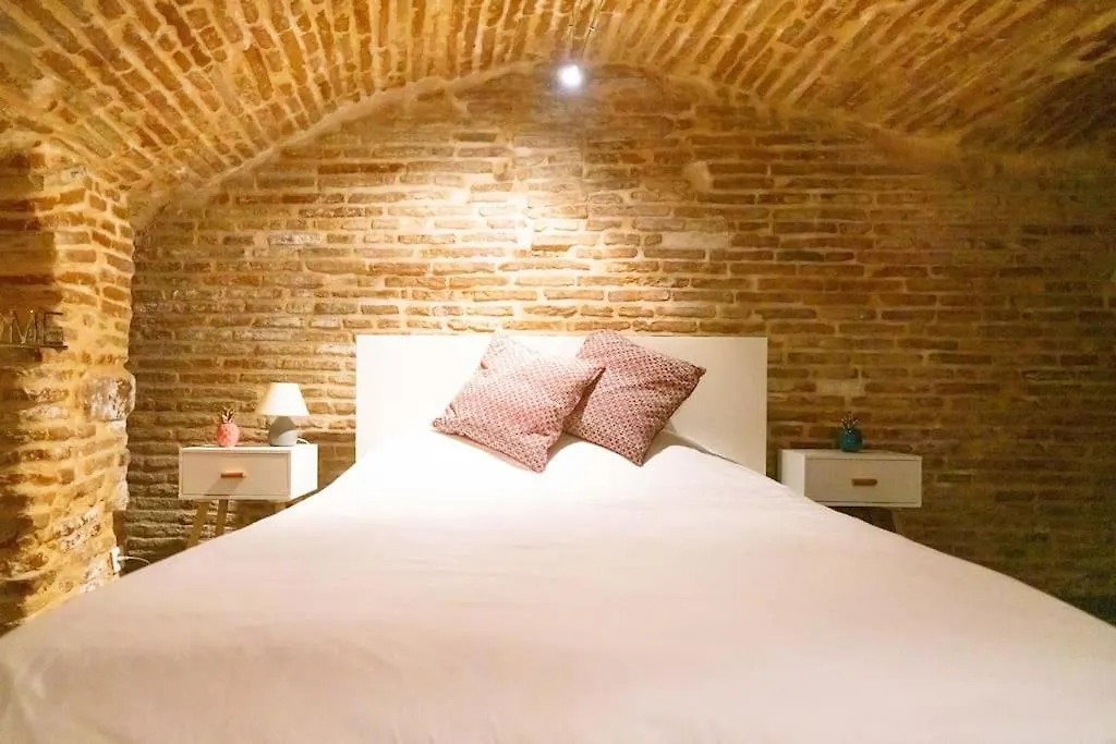 Le Nightflyer T2 Atypique De Brique Et En Cave Apartment Toulouse