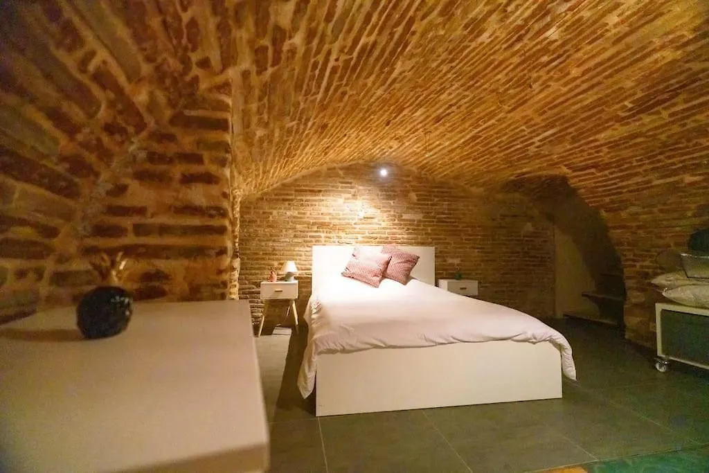 Le Nightflyer T2 Atypique De Brique Et En Cave Apartment Toulouse France