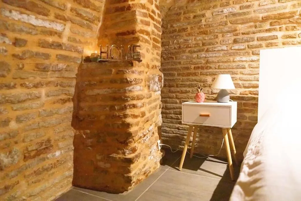 Le Nightflyer T2 Atypique De Brique Et En Cave Apartment Toulouse