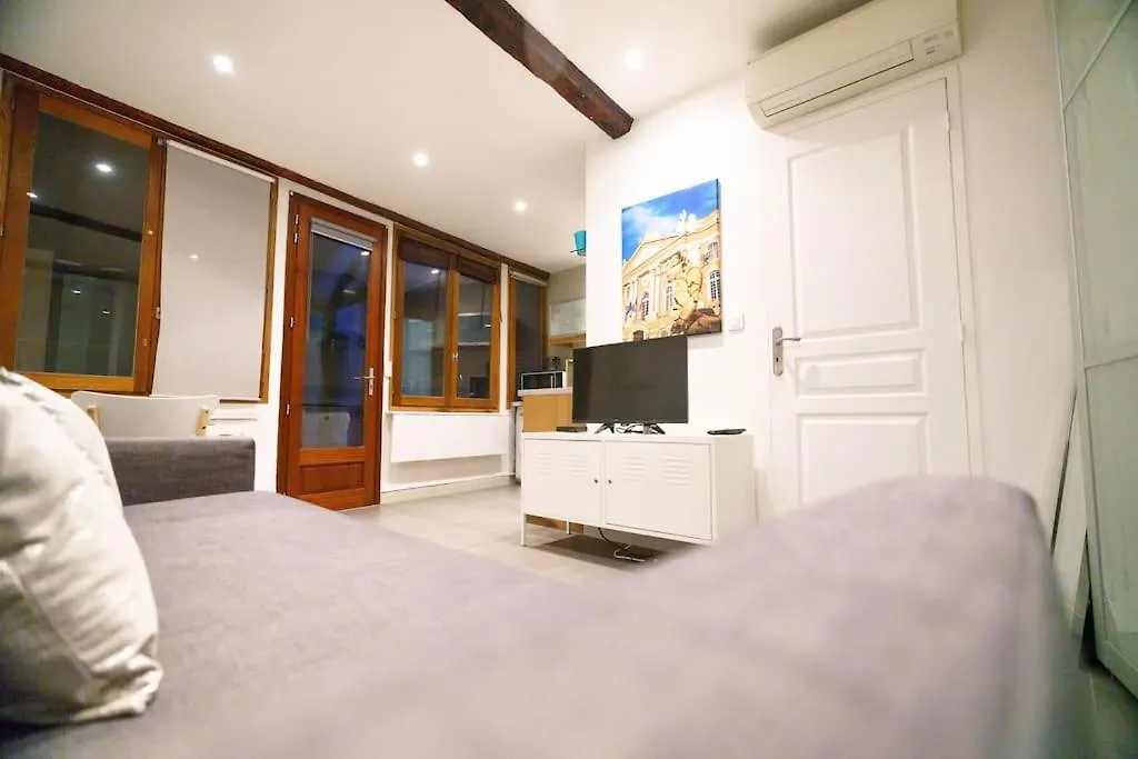 Le Nightflyer T2 Atypique De Brique Et En Cave Apartment Toulouse 0*,  France